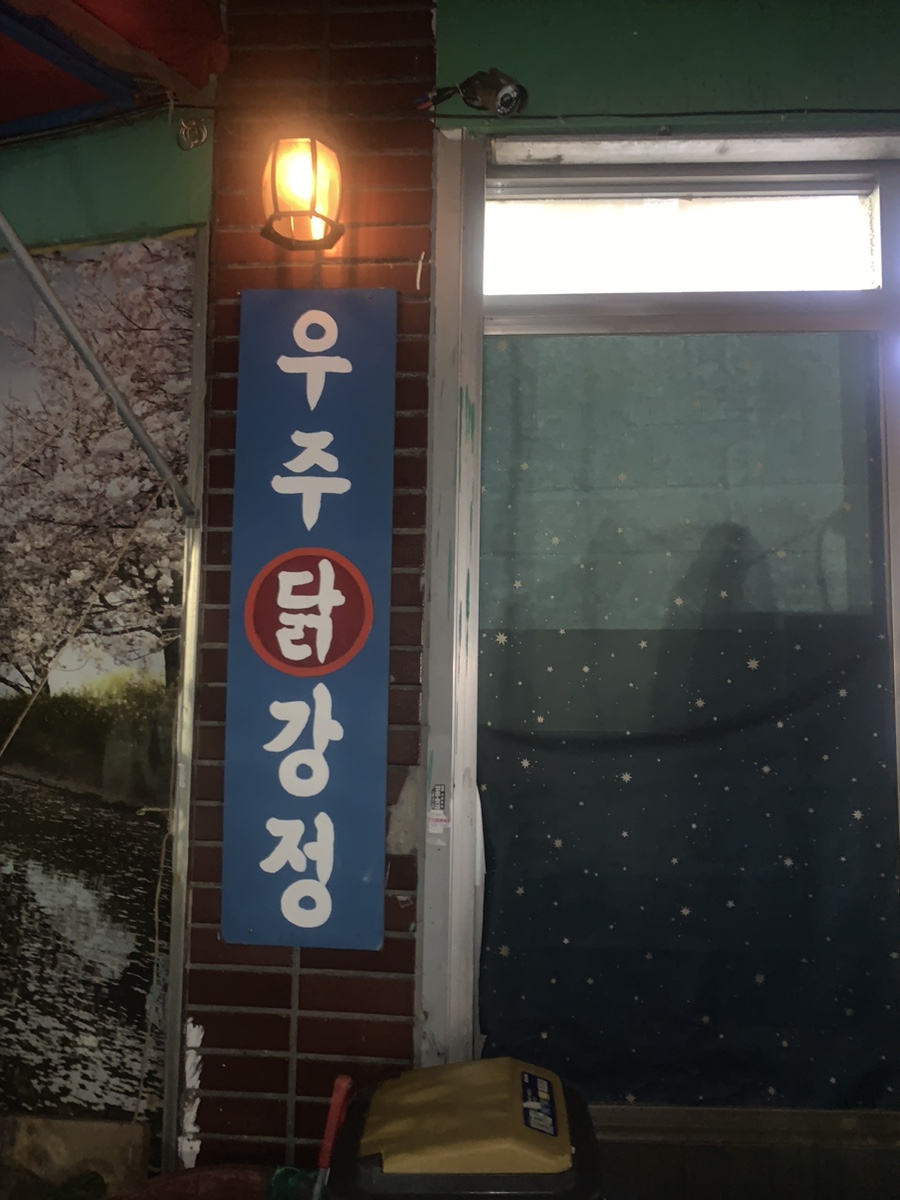 우주닭 사진 1