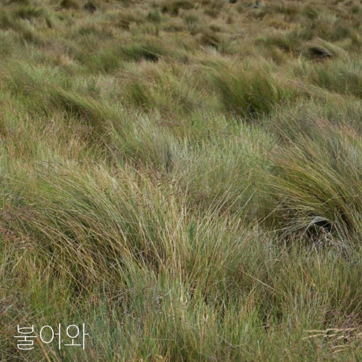 양재준 - 불어와 [노래가사, 노래 듣기, Audio]