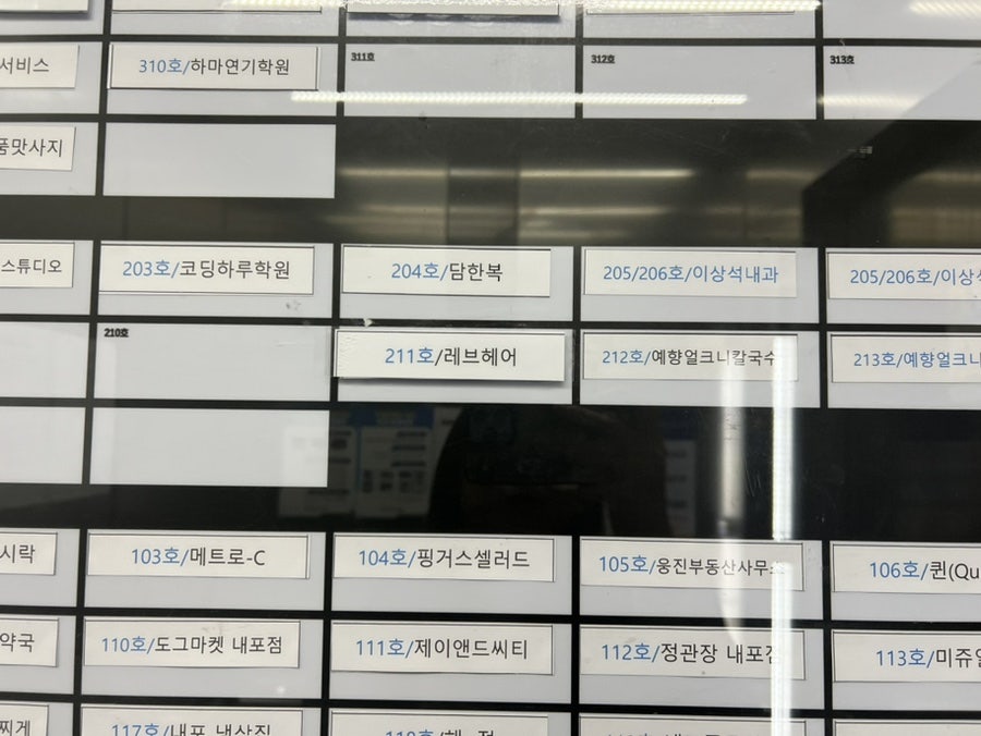 레브헤어 사진 6