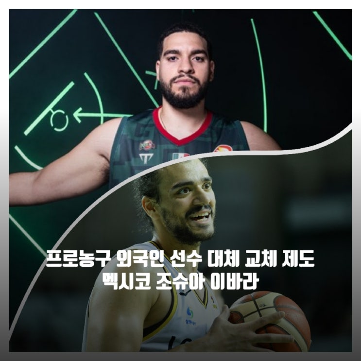 한국<b>프로농구</b> KBL <b>외국인 선수</b> 대체 교체 제도, 이색 기록... 