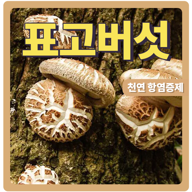  표고버섯이 염증을 줄여줍니다