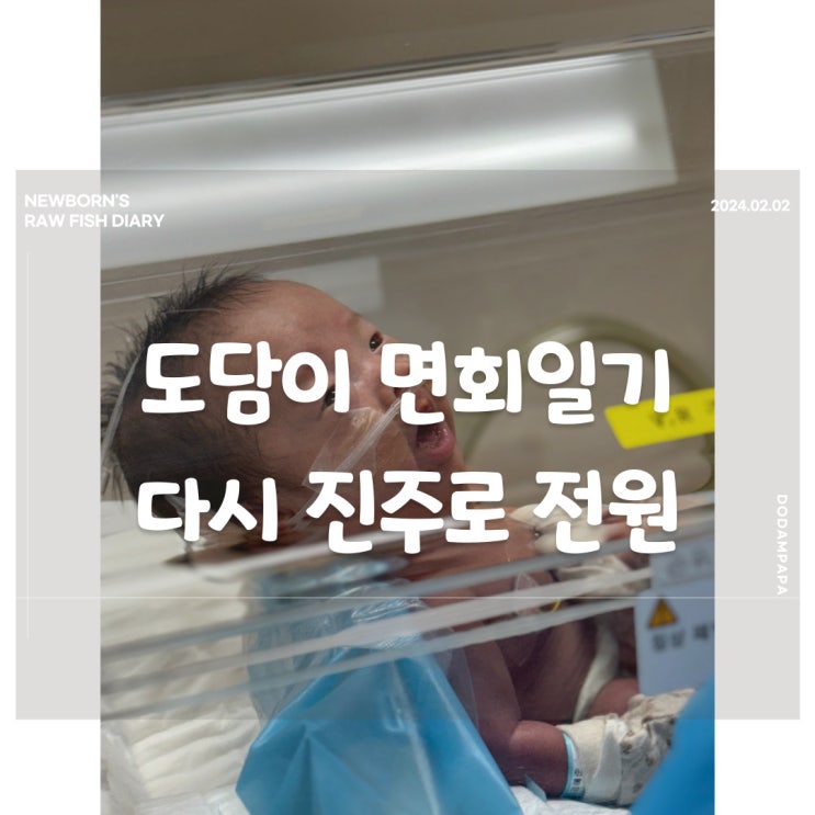 도담이 면회 일기 진주 경상대학교병원으로 다시 전원 도담이 면회 일기 진주 경상대학교병원으로 다시 전원