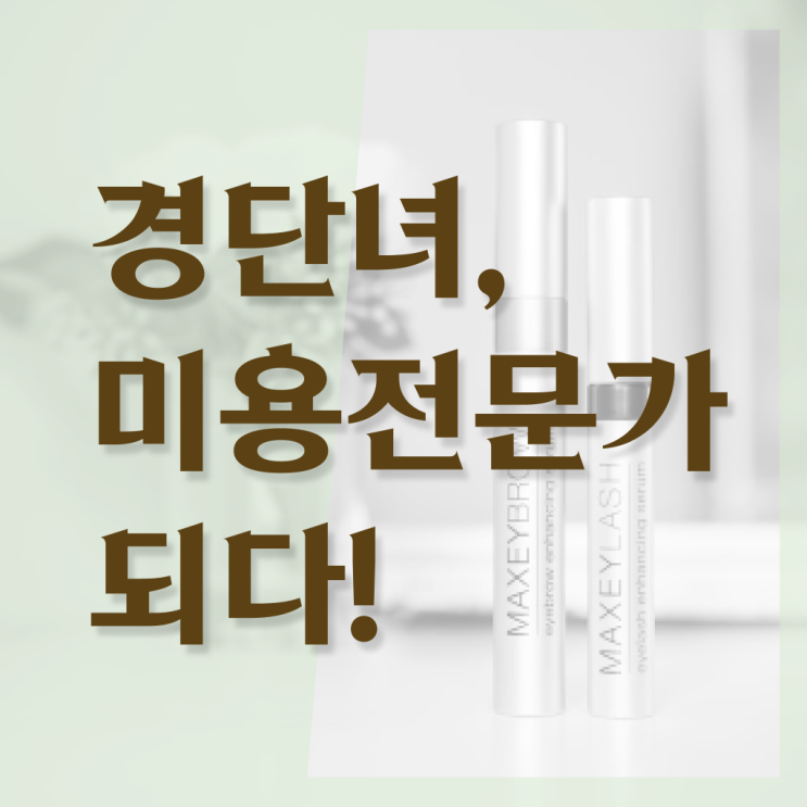  미용사종합자격증 종류 취업 A부터 Z까지 .
