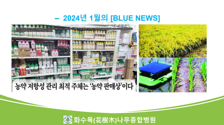  2024년 1월의 Blue News 모음