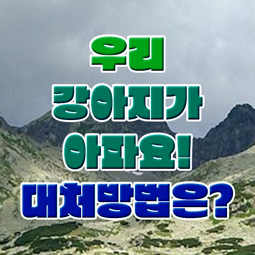  강아지열날때 처치방법 정보꾸러미 !!!