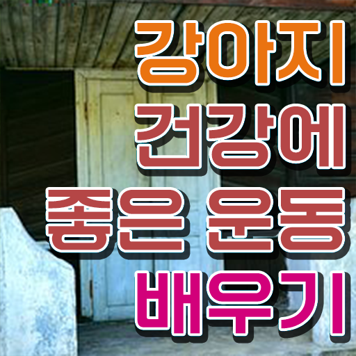  반려견운동지도사 1급 자격증 준비방법 정보 꾸러미 ?