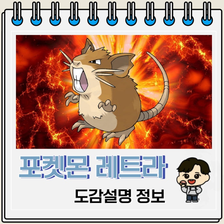 포켓몬스터 레트라 도감설명 정보 포켓몬스터 레트라 도감설명 정보