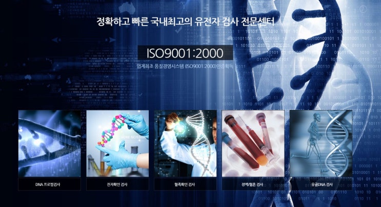  대구 경북 친자확인 유전자검사 콜라스인증 확인