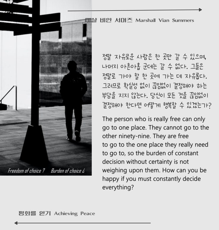 선택의 자유, 선택의 부담 선택의 자유, 선택의 부담