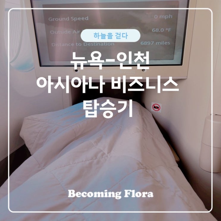  아시아나 뉴욕-인천 비즈니스 탑승 그리고 기내식