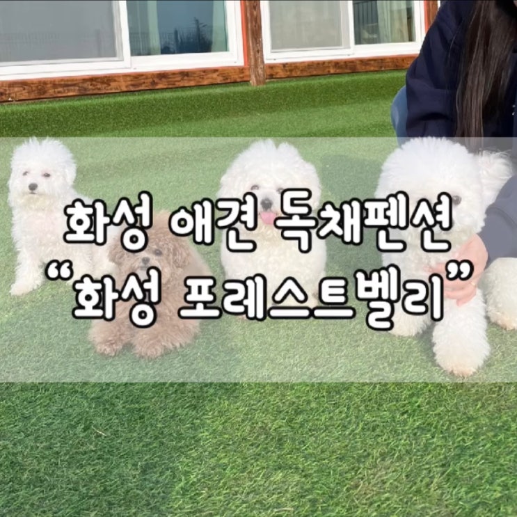  화성 포레스트벨리 / 화성 애견펜션 / 화성 포레스트벨리 애견펜션 / 내돈내산 / 애견펜션추천 / 화성 포레스트벨리 추천 / 화성 독채 펜션 / 독채 애견 펜션