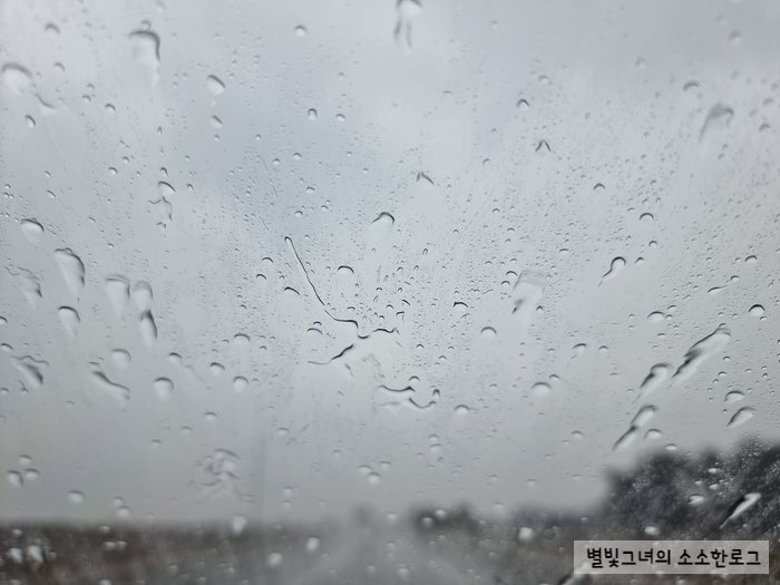 창평국밥 사진 2