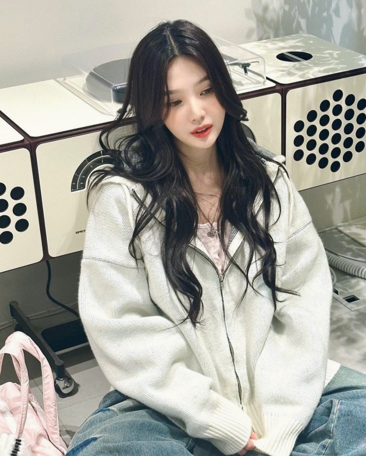  레드벨벳 조이 사복패션 니트 후드집업 브랜드, 가격 및 코디까지