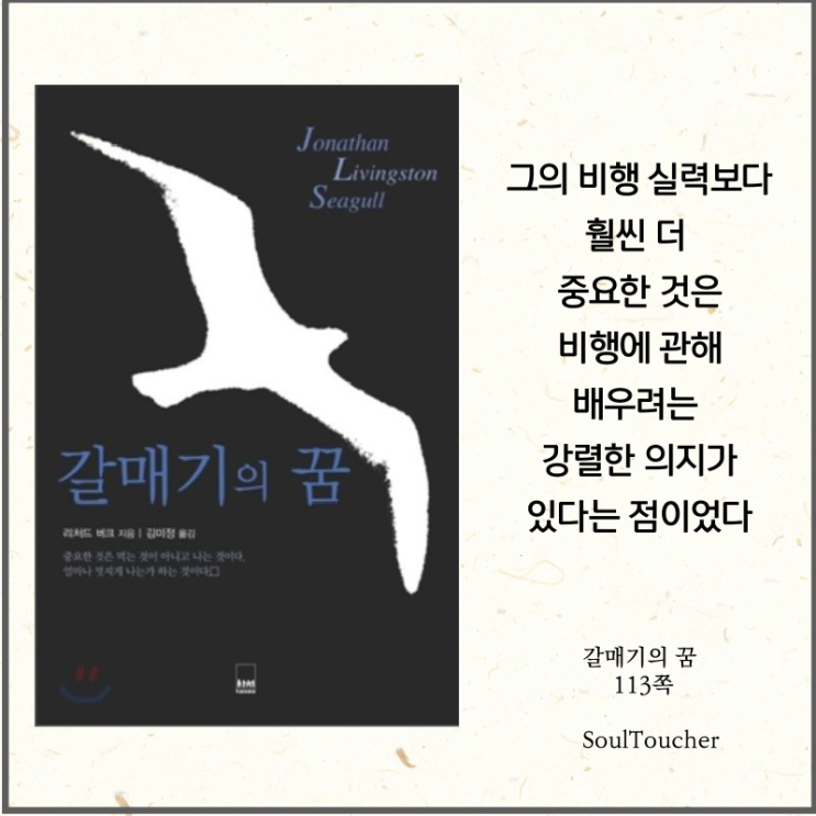 #『갈매기의꿈』:강렬한의지 #『갈매기의꿈』:강렬한의지
