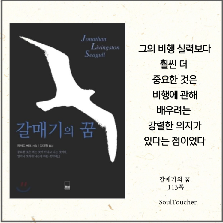 #『갈매기의꿈』:강렬한의지