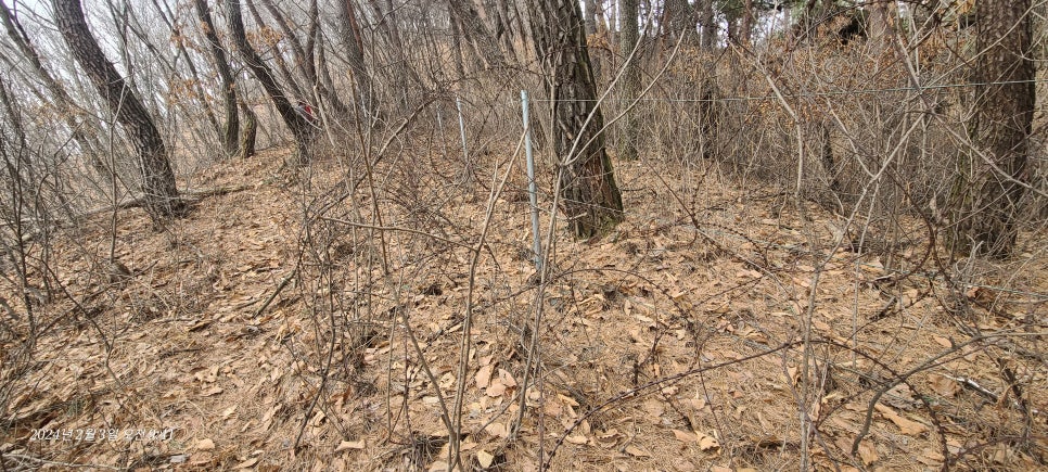 빌미산 사진 4