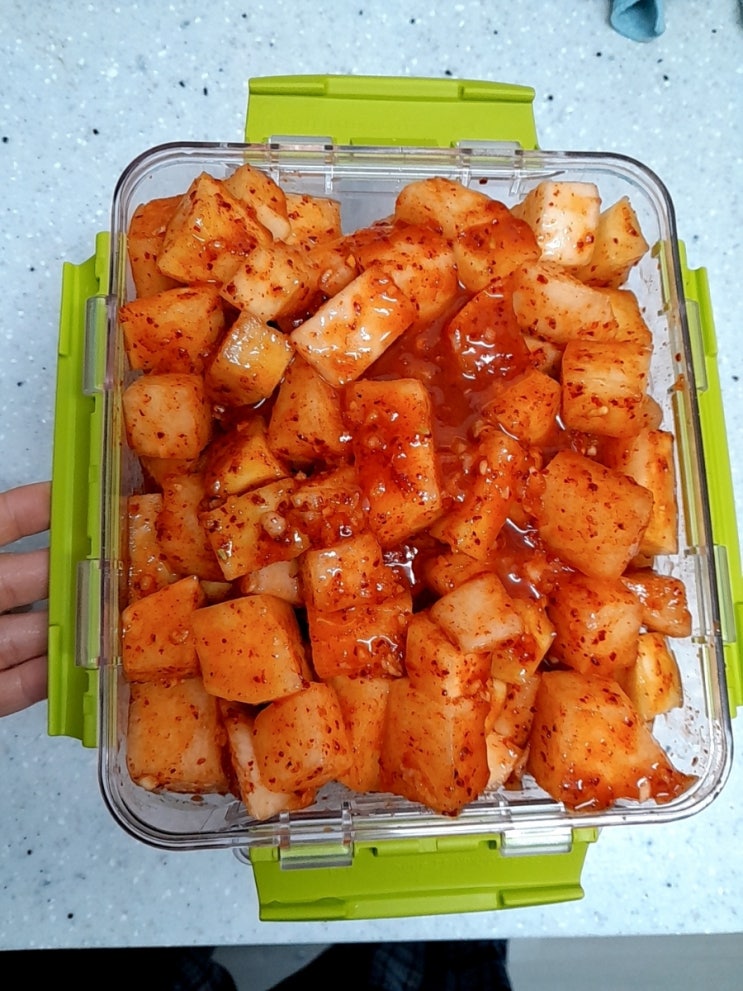  천원반찬 깍두기 맛있게 담그는 법, 겨울무가 달아서 지금 꼭 담가서 먹어야 맛있어요 황금비율