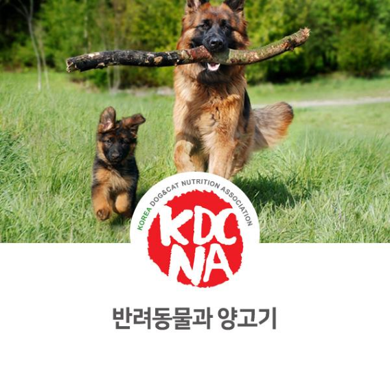  NO.1086 반려동물 양고기 효능과 급여 방법