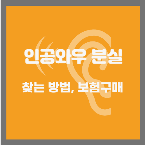  인공와우 분실 시 찾는 방법, 보험 적용받는 법