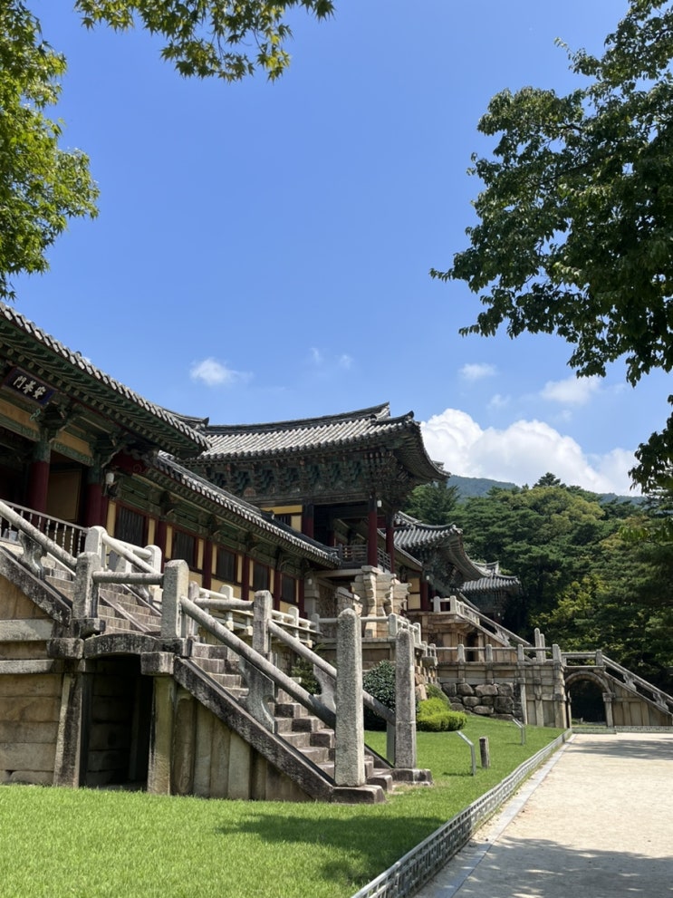  더 많은 산을 오르고, 더 많은 강을 헤엄치리라