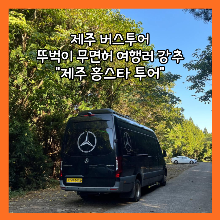  [제주] 겨울에 쓰는 제주 동쪽 가을 여행 무면허 뚜벅이의 "제주홍스타투어" 내돈내산 후기(산굼부리, 비밀의 숲, 함덕해수욕장, 샤려니숲길, 닭머르해안)