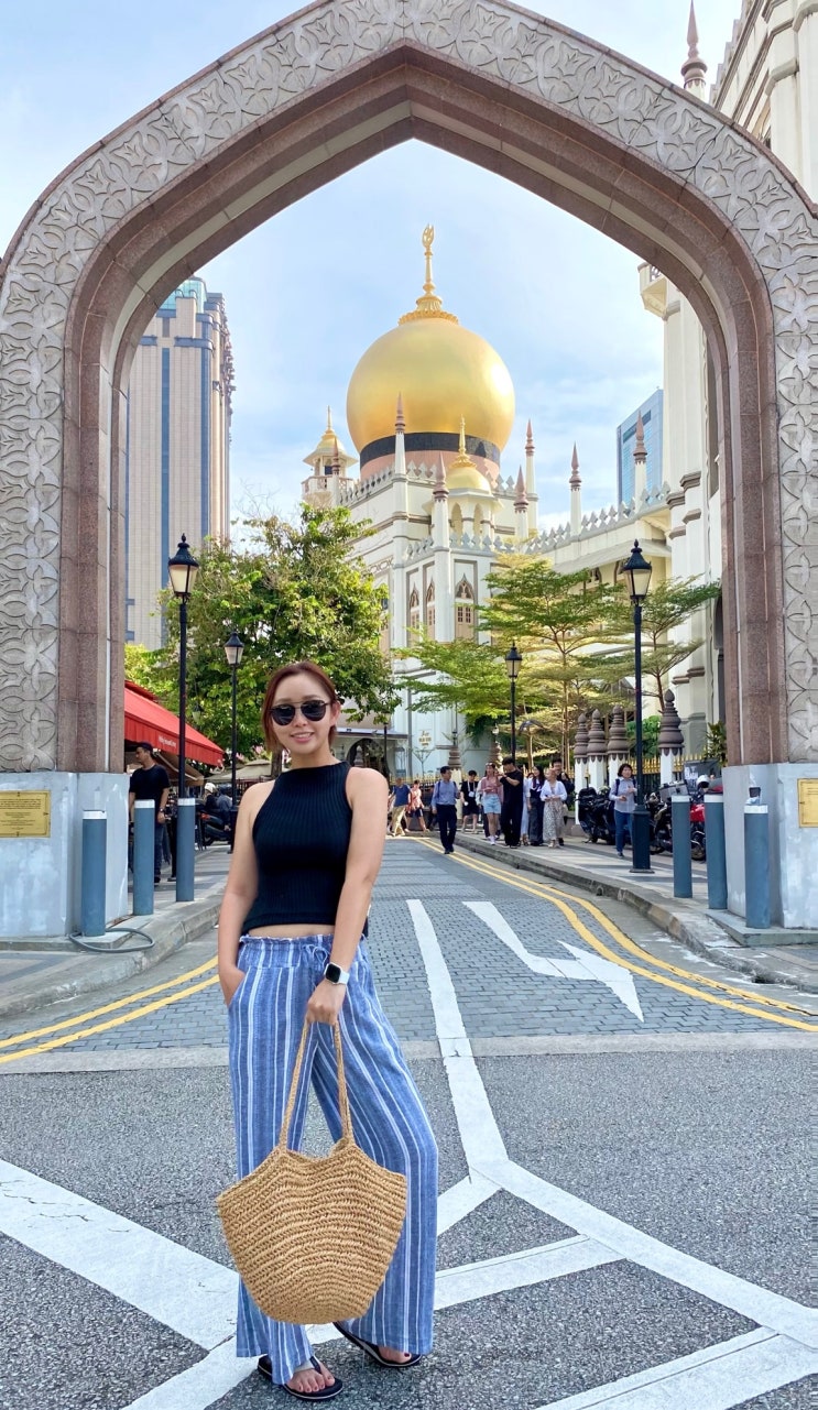  [Sigapore] 싱가포르에서 화려한 아랍문화 맛보기, 술탄 모스크 Sultan Mosque, 아랍거리, 하지레인 (술탄 모스크 히든 포토 스팟 추천)