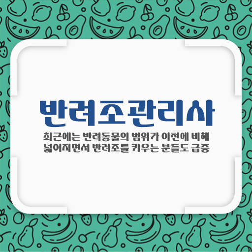  향후 전망좋을 분야 ?! 반려조관리사 자격증