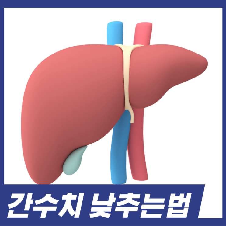  간수치 낮추는법! 간수치 정상범위 AST ALT, 간수치 낮추는 방법 4가지