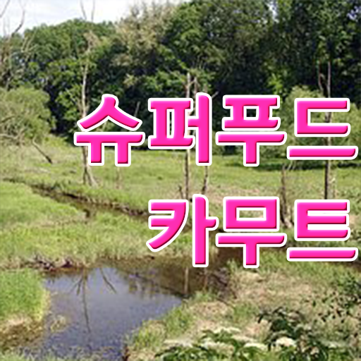  정보 꾸러미 ? 카무트 분말 먹는 법 ?!