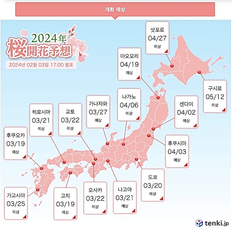  2024년 일본 전국 벚꽃 개화시기 확인 및 파파고 번역기 이용하기