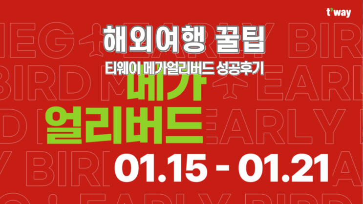  티웨이 메가얼리버드 성공 도쿄, 방콕 티웨이플러스
