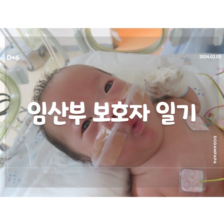 2024.02.03 임산부 보호자 일기 D+6일 2024.02.03 임산부 보호자 일기 D+6일