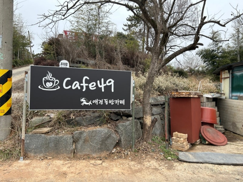 사진 2