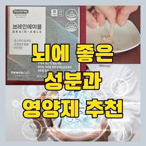  기억력 개선에 좋은 포스파티딜 세린 효능 - 뇌영양제 추천