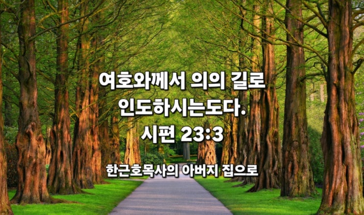 여호와께서 의의 길로 인도하시는도다. 시편 23:3