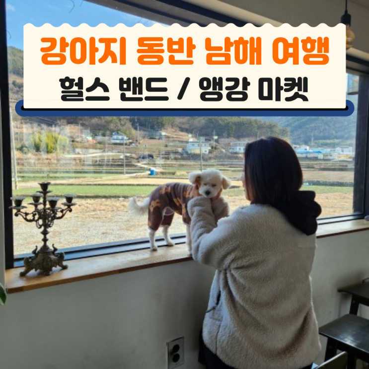  [2편] 강아지 동반 남해여행_헐스 밴드 / 앵강 마켓