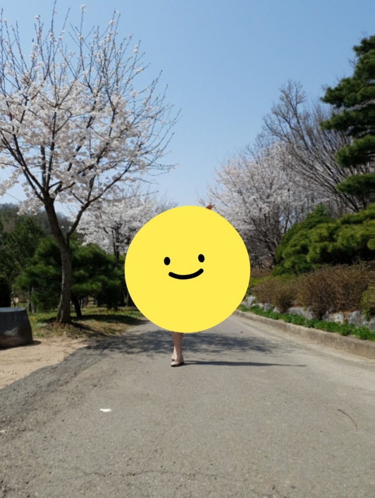  입춘