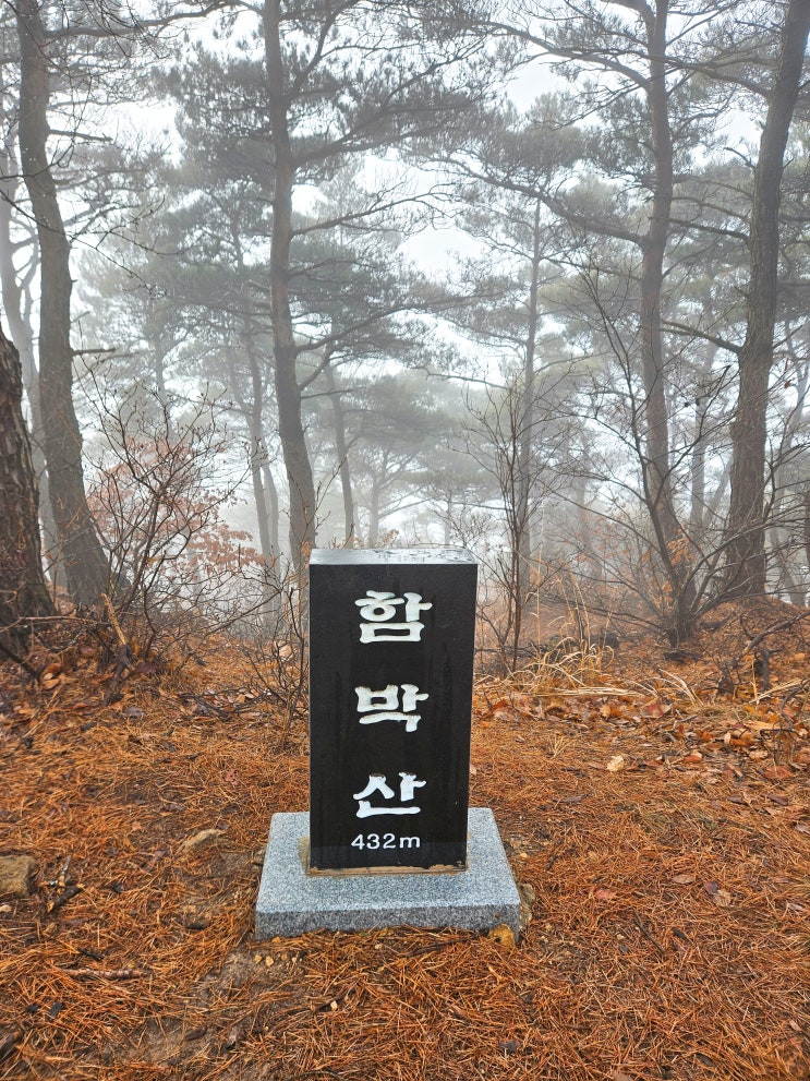  대구 화원 옥포 함박산 초보가능 쉬운코스 최단코스 등산(기내미재-함박산-기내미재전망대-함박산전망대)