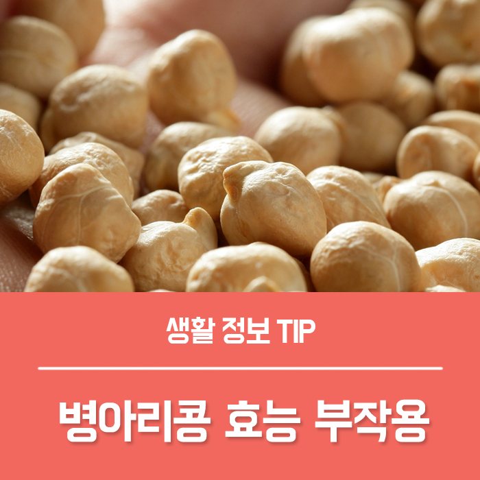  병아리콩 효능 부작용, 병아리콩 보관 볶은 병아리콩 칼로리는?