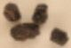 광물 - 광물 종류, 광물질, 규산염 광물, 6대 조암광물, 장석, 석영, 휘석, 각섬석, 흑운모, 감람석, 광물 영어 ...