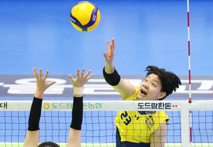 여자<b>배구</b> 현대건설 <b>아시아쿼터</b> 위파위 시통 국적 연봉 키 프로필