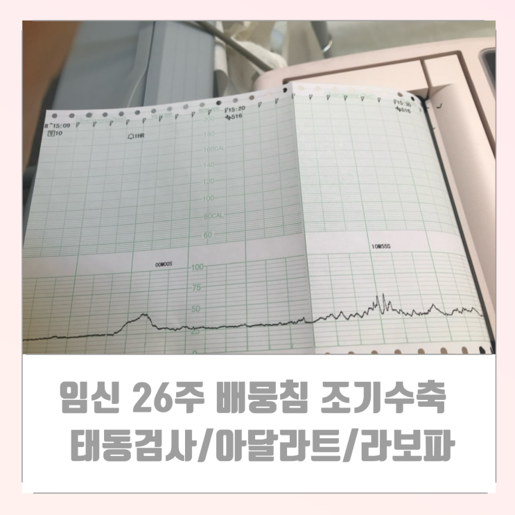 임신 26주 배 뭉침 조기수축으로 입원 태동검사/아달라트/라보파