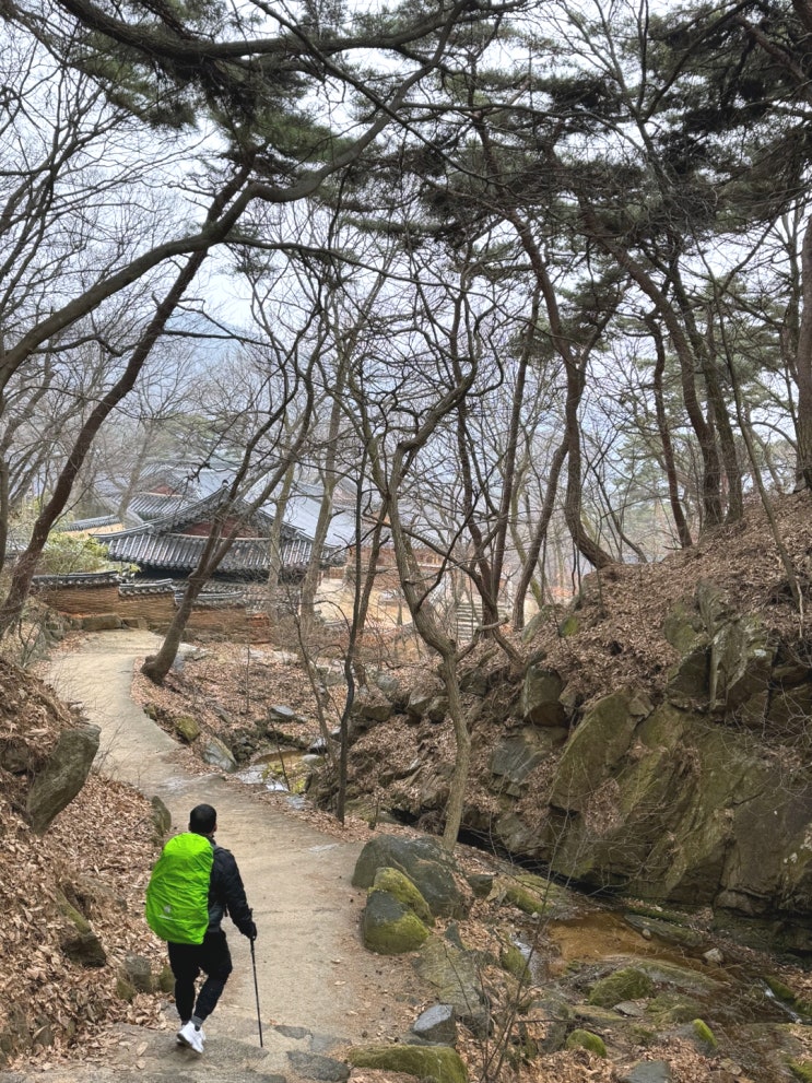  충남 덕숭산 등산, 수덕사 구경 (오감만족)
