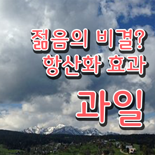  항산화 성분이 풍부한 과일 효과 A부터 Z까지 ~