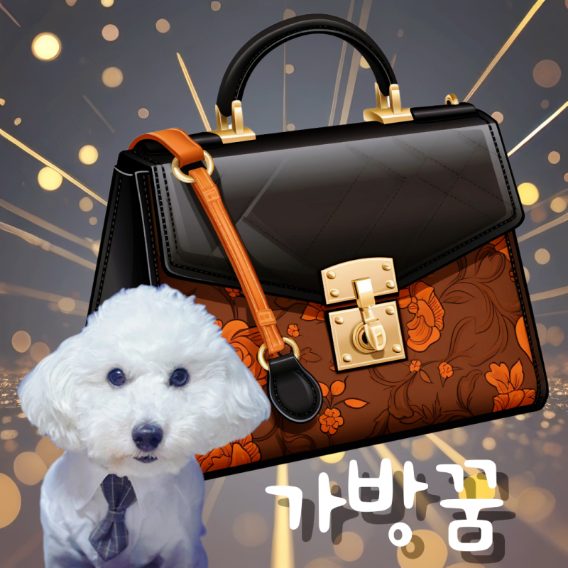 가방꿈 명품가방 꿈 가방 도둑맞는꿈 해몽