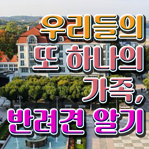  반려동물 관리사 시험 취득 후기 콕콕 짚어드립니다 ~