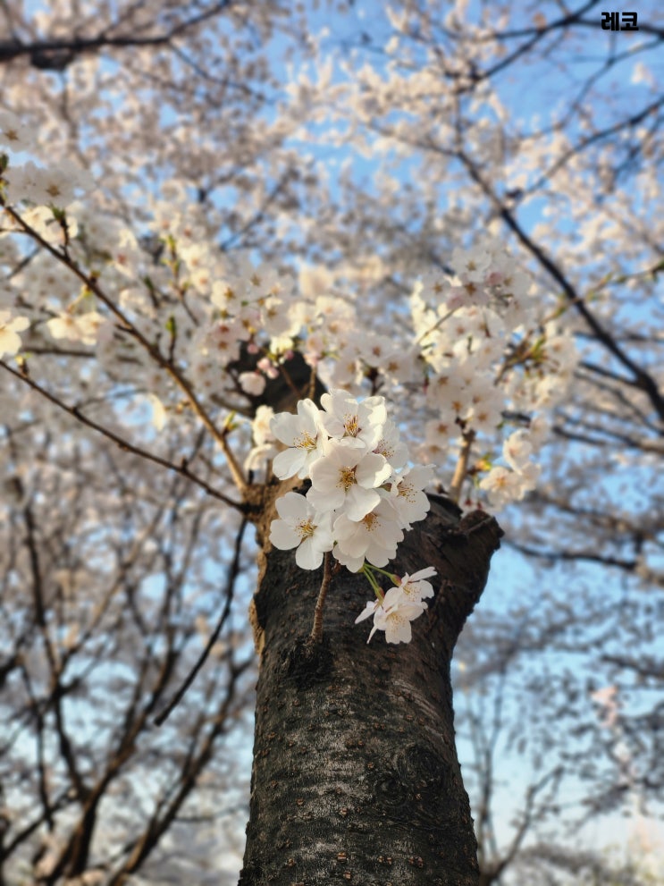  입춘 - 봄이 오면 뭐할까