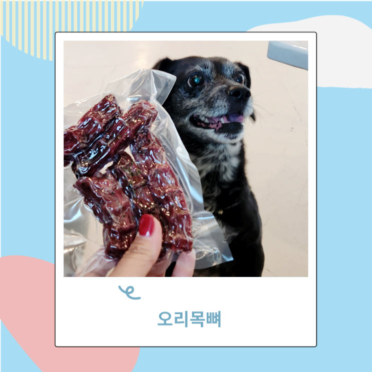 강아지 오리목뼈 오리고기 뼈간식 치석제거 간식 강아지 오리목뼈 오리고기 뼈간식 치석제거 간식