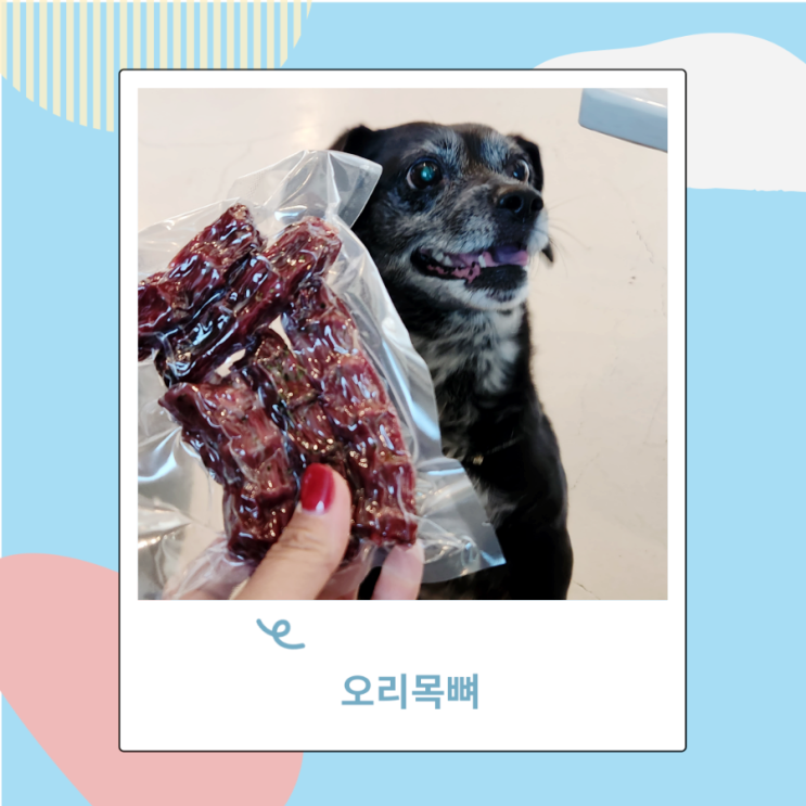 강아지 오리목뼈 오리고기 뼈간식 치석제거 간식