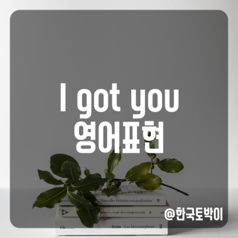 I got you 뜻 (알겠어 영어로)